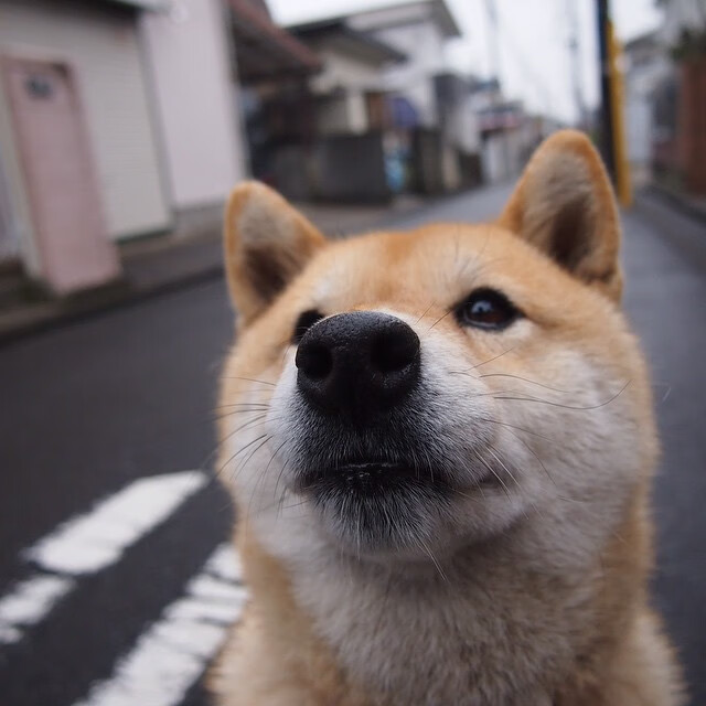 开云体育入口-铁血骑士三军用命，希腊怪兽末节降临