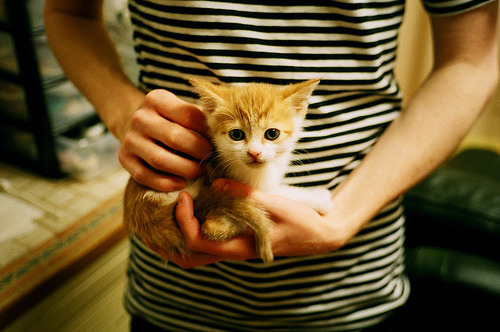 法比尼奥，曼联体系中的唯一密钥，对阵贝蒂斯一战颠覆认知